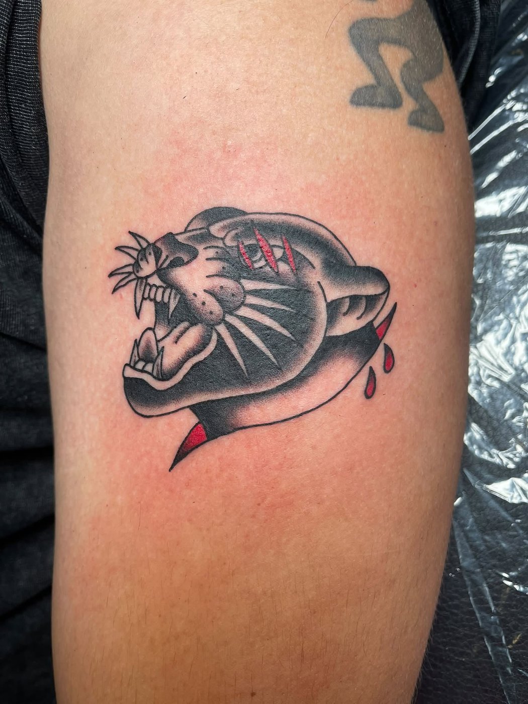 Tattoo by Rich Verri β Alley Cat Ink